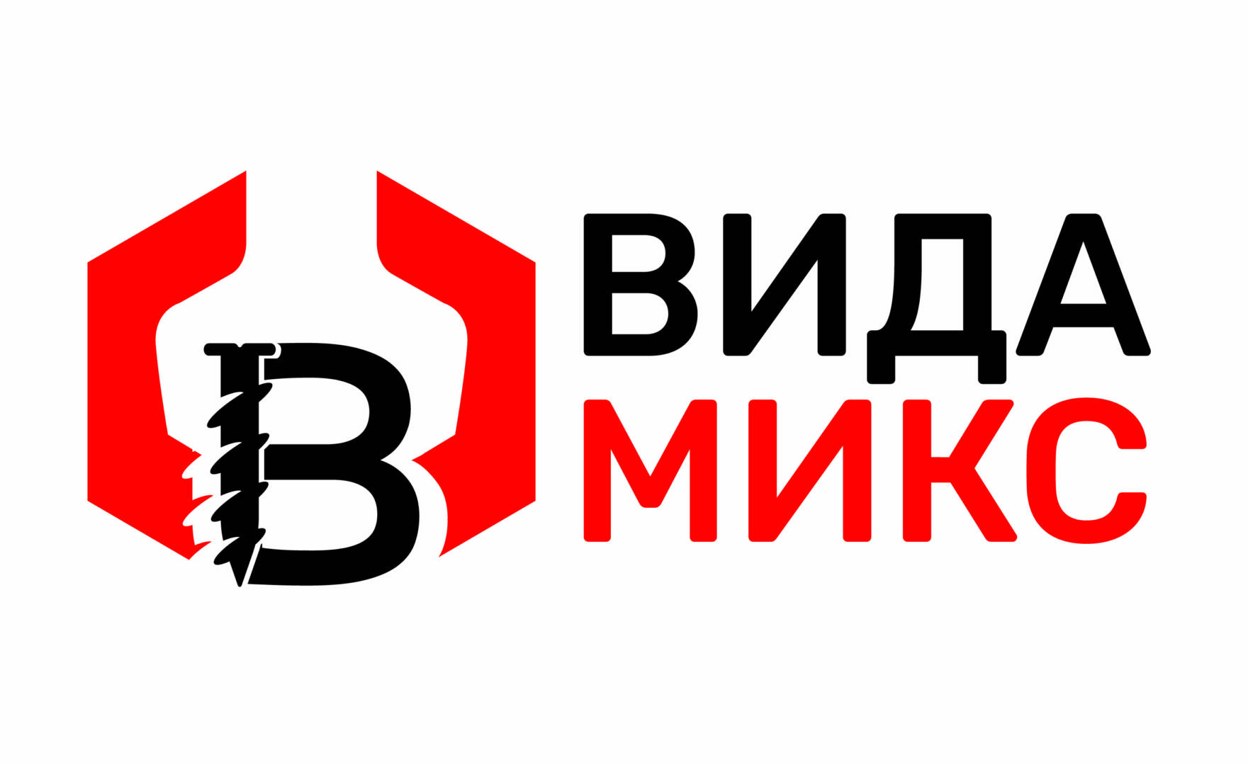 VidaMix_logo_BG
