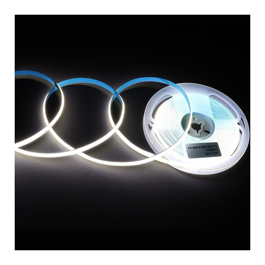 Glavna Led lenta 480l 11.8W 6000k 5m